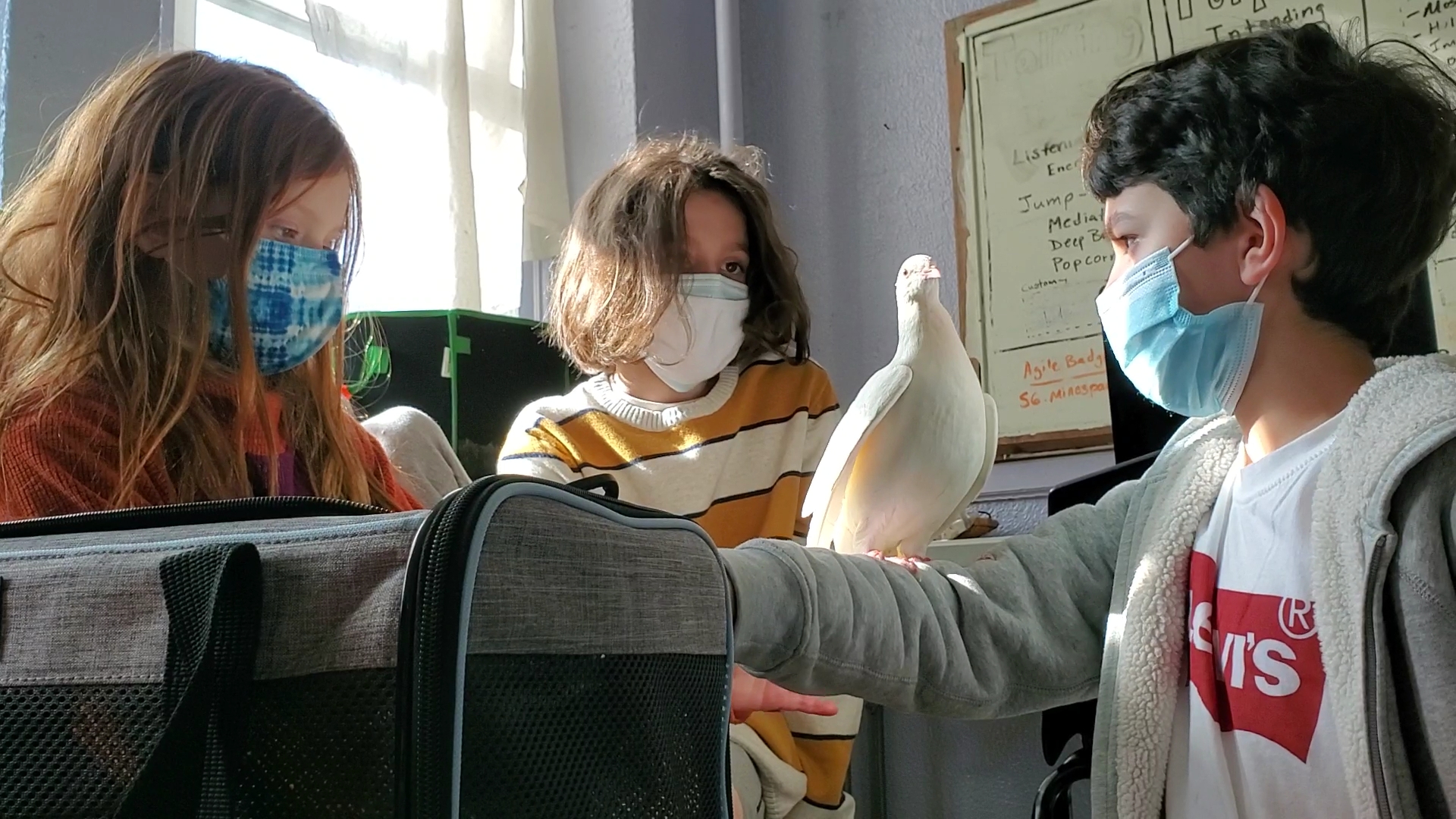 Agile Learning Center Nyc